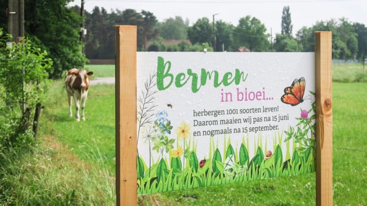 Lokaal bestuur roept om op deel te nemen aan ‘Maai Mei Niet’