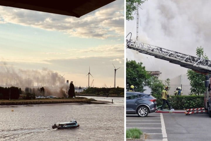 Hevige brand in Antwerpen: rookpluim van ver zichtbaar