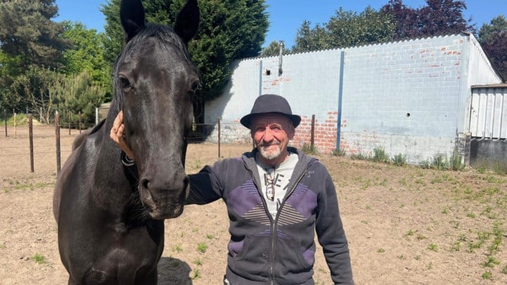Arseenconcentraties in de lucht roepen vragen op: "Wat als mijn paarden die stof binnen krijgen"
