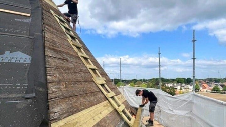 Logerende vleermuizen vertragen restauratie Sint-Bavokerk