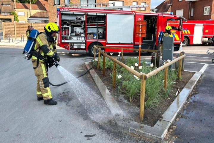 Sigarettenpeuk zet bloemenperkje in brand in Weverstraat