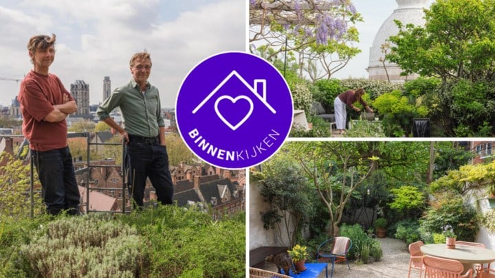 Deze twee groen-guerrillero’s maken van daken en tuinen in de stad echte jungles: “We willen mensen inspireren en laten zien wat er mogelijk is, zelfs op een kleine oppervlakte”