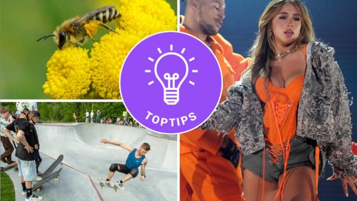 Experimenteren op wieltjes, Tate McRae in het Sportpaleis of wandelen aan de kust: onze niet te missen toptips voor deze week