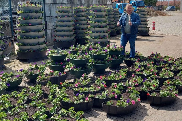 Groendienst plant 22.000 nieuwe bloemen op vier dagen tijd: “Stad is letterlijk opgefleurd”