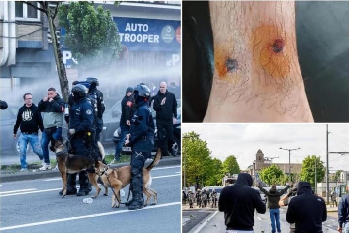 Probable shooter arrested that Club Brugge fan shot in the foot