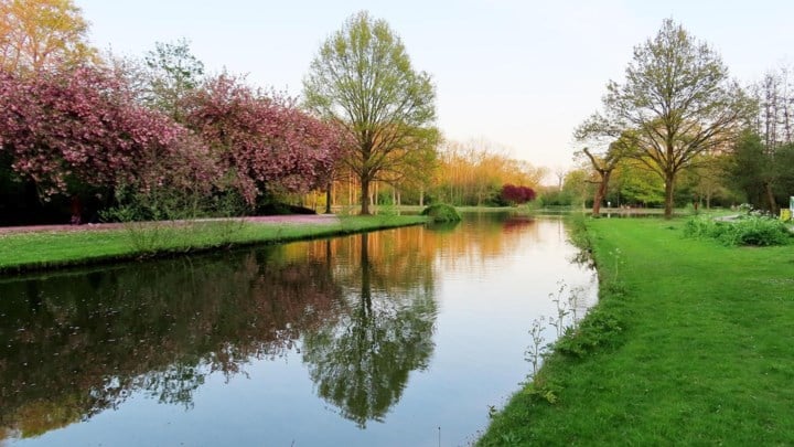 Workshop laat bezoekers van Vrijbroekpark blauwdruk ontdekken: “De oudste vorm van fotografie”