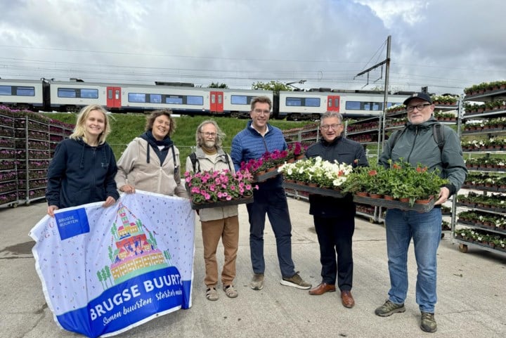Stad deelt 92.000 bloemen uit: “Brengt mensen dichter bij elkaar”
