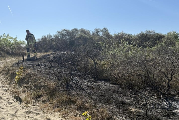 Brandweer moet duinbrand van tweehonderd vierkante meter blussen: “We onderzoeken oorzaak”