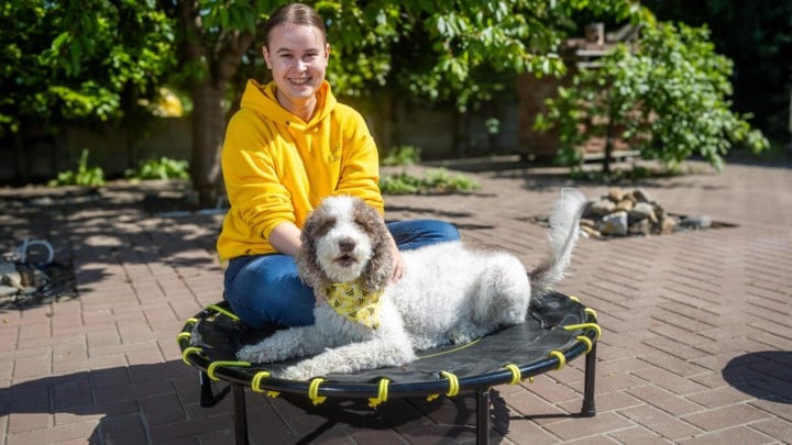 Diabeteshond Sammy begeleidde Emily tien jaar lang, nu mag hij met pensioen: “Hij zal nooit beseffen hoeveel hij voor mij betekent”