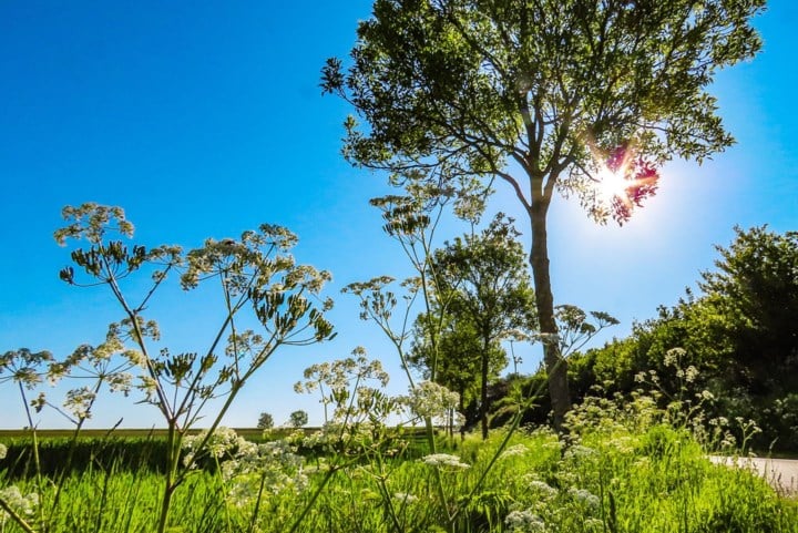 Opnieuw veel zon en warme temperaturen tot  26 graden