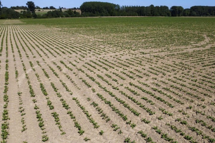 Groen vraagt hoorzittingen over droogte: “Droogte en dalende waterstanden zijn structureel probleem”