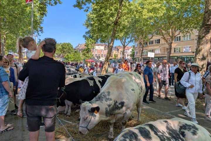 Alleen blije gezichten op zonovergoten 161ste jaarmarkt: “Alles verliep zoals we het gehoopt hadden”