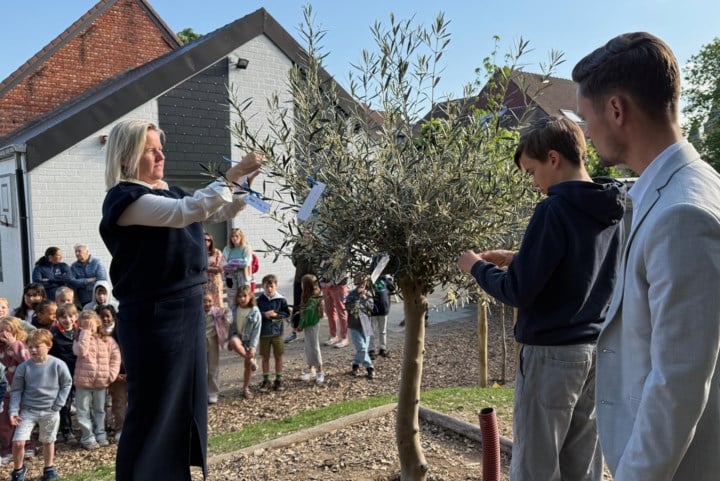 De Kleine Schuit plant vredesboom om einde Tweede Wereldoorlog te herdenken