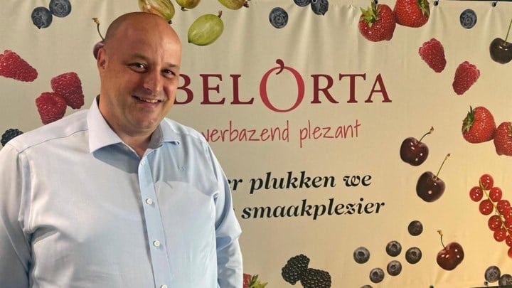 “Kersen tot wel tien dagen langer houdbaar”:  BelOrta opent nieuw ‘Kersencenter’ in Sint-Truiden