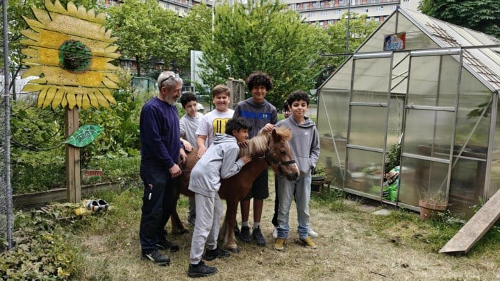 Leerlingen Tectum Kiel leren en genieten in eigen miniboerderij: “Pony Mie brengt rust”