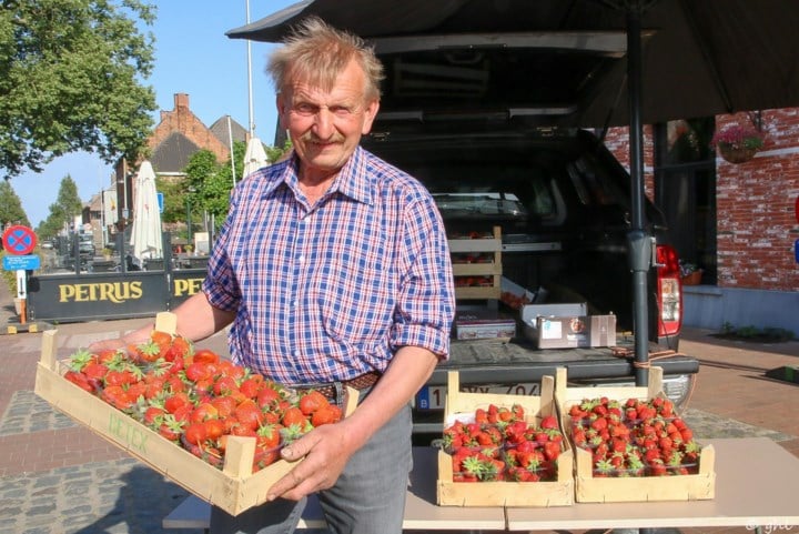 Paul Van Severen (69) houdt de hoop op 100 jaar Beerveldse aardbeienmarkt levend: “Voor jonge mensen loont dit niet meer”