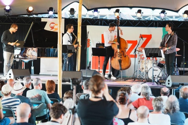 Komt er nog nieuwe editie van Jazz in ’t Park? Kandidaten hebben drie weken tijd om zich te melden