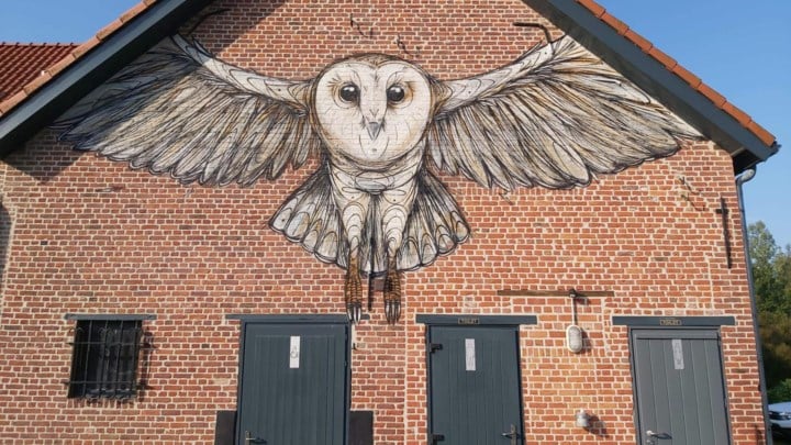 Gezinslus van 12 kilometer onderdeel van gloednieuwe Animalinas-route