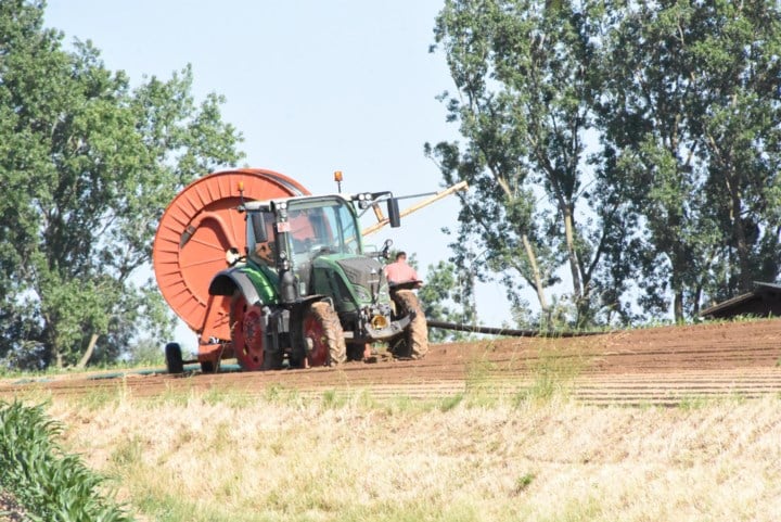 Droogte eist tol: boeren mogen ook geen water meer oppompen uit stroomgebied van de Mark