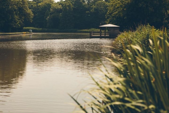 Stad wil openwaterzwemmen toelaten op 3 locaties: “We denken aan de Spuikom, Maria-Hendrikapark en de Keignaert”