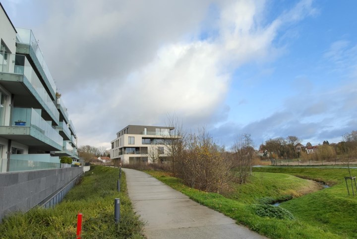 Schepencollege moet knoop doorhakken over verkaveling voor mogelijk 200 woningen in Novarodepark: “Evenwicht vinden tussen verschillende belangen”