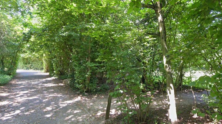 Stad bekijkt aanleg van bijkomende hondenweides