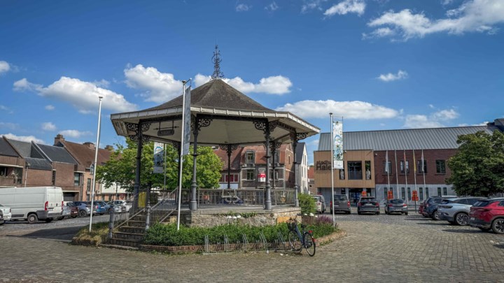 Groener centrum in Halen vanaf augustus