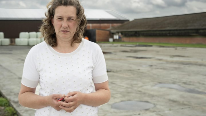 Kippenbedrijf kan twee jaar na brand stal nog niet heropbouwen door strengere wetgeving: “Duurder en daardoor minder rendabel”