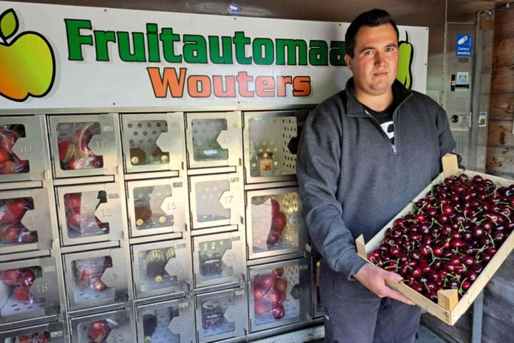 Fruitbedrijf Wouters verwelkomt eerste kersen van het seizoen