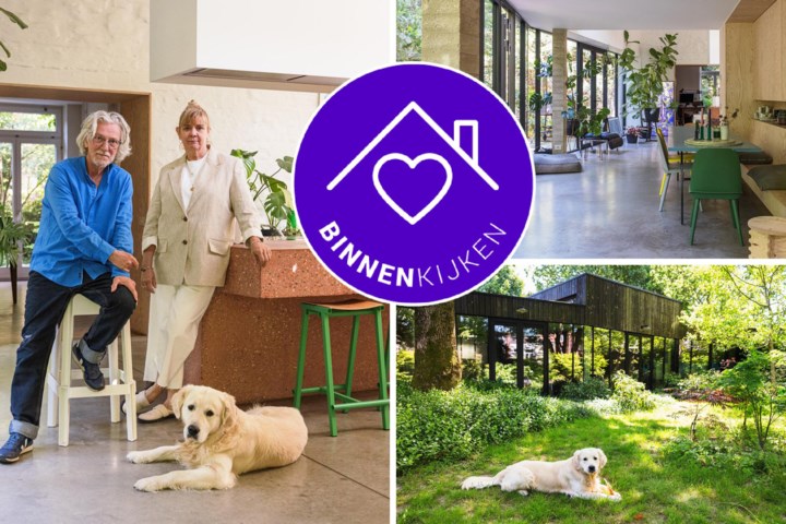 “We konden hem onmogelijk kappen”: de unieke atelierwoning van fotografenduo Tony Le Duc en Diane Hendrikx zigzagt rond een 120 jaar oude boom