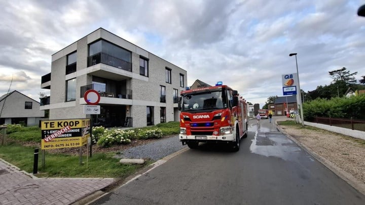 Twee parkieten en konijn gereanimeerd na appartementsbrand in Lommel