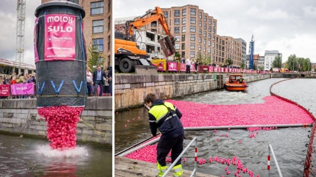 Roze Eendjesrace in Antwerpen: Duizenden Eendjes Racen voor Borstkankeronderzoek!