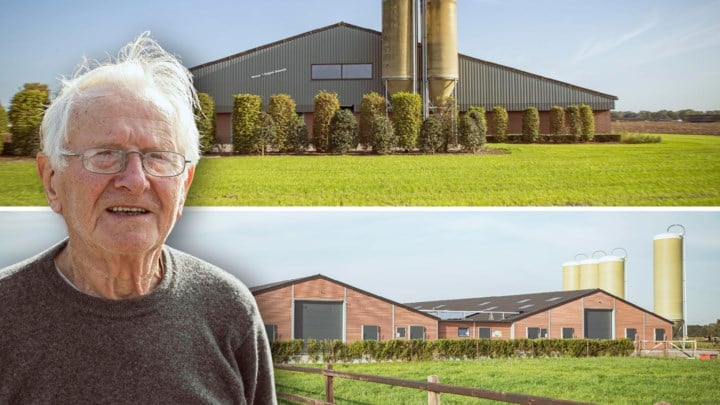 “Tegen de boerenlobby is niks te beginnen”: omwonenden van megastallen bijten in het zand in geurhinder-vonnis tegen Vlaamse overheid