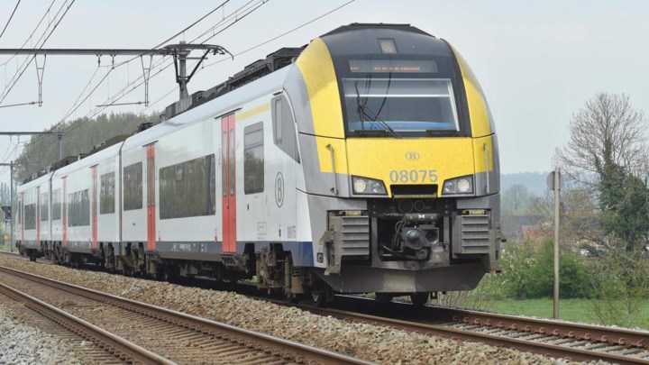 Treinverkeer Balen-Mol tijdlang stilgelegd nadat verwarde persoon op sporen terechtkomt