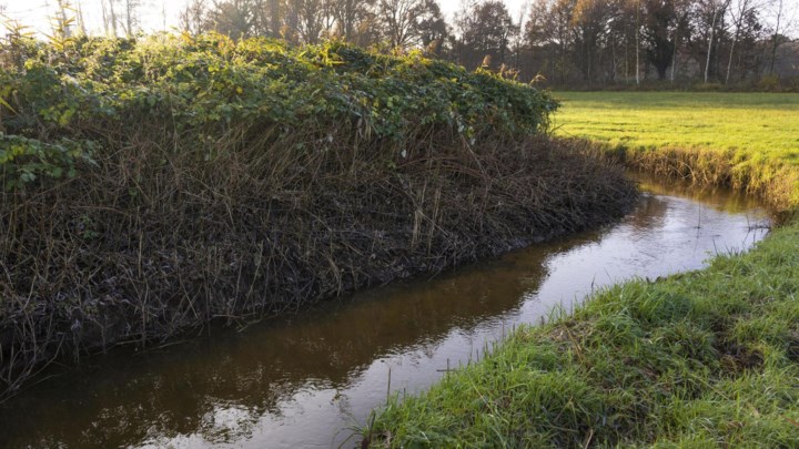 Permanent onttrekkingsverbod beschermt vallei van Het Merkske beter tegen droogte