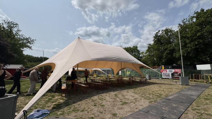 Botanique Antique keert terug: feest voor ‘zilveren generatie’ tijdens Zomer in het Park