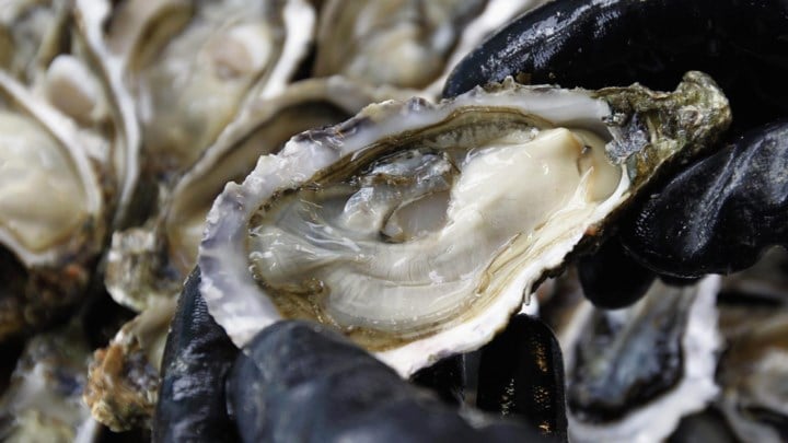Rechter trakteert Hasseltse dakloze oesterdief op 7 maanden water en brood