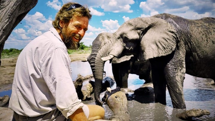 Hij werd wereldberoemd door confrontatie met aanstormende olifant, nu komt wildlifegids naar Neeroeteren