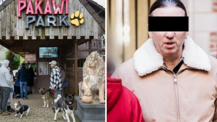 Hof overweegt herkwalificatie in zedenzaak zaakvoerder Pakawi Park: “Proces begint dan opnieuw”