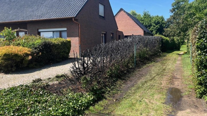 Haag naast woning vat vuur: onkruidverbranding loopt mis