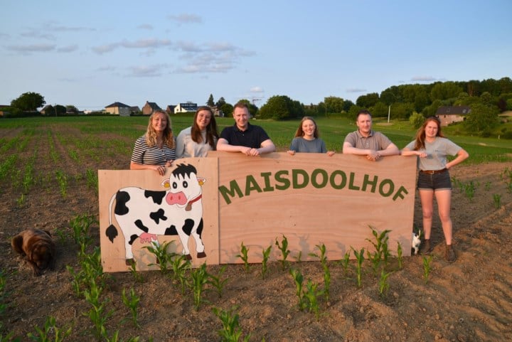 Familie Lemaire plant maïsdoolhof van anderhalve hectare: “Hopen op nog wat regen”