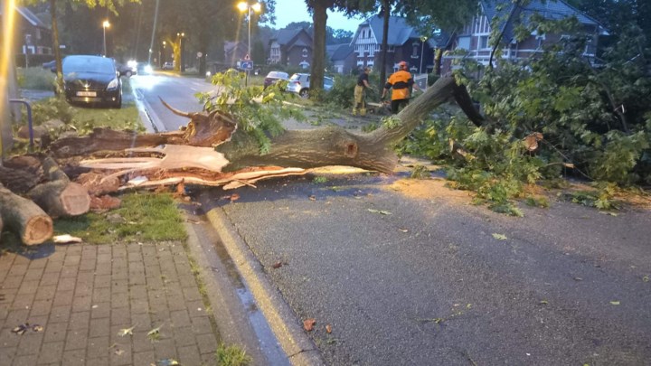 Blanke straten en omgevallen boom in Maasmechelen en Bilzen-Hoeselt door hevige buien