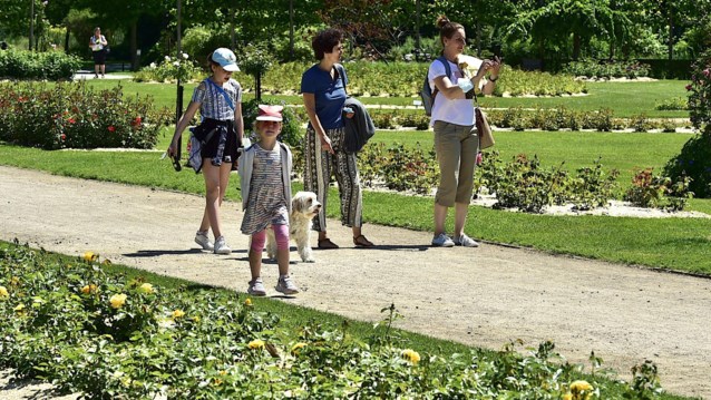 Snuif de zomer op met gids in het Vrijbroekpark (Mechelen)