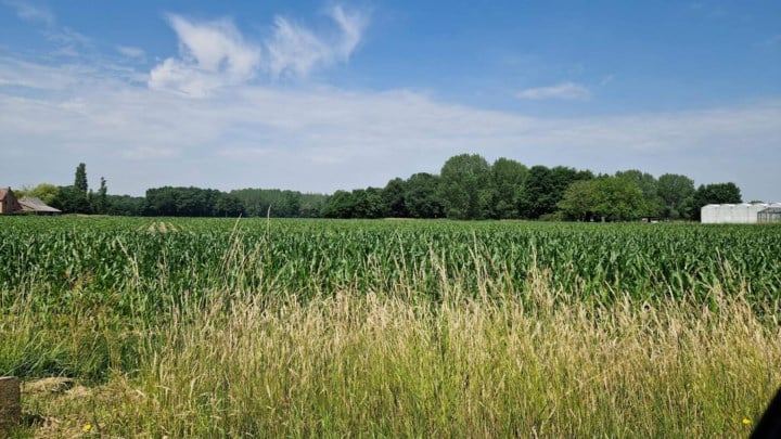 Plan om versnipperd landschap in Antwerpse zuidrand weer  geheel te laten vormen, krijgt vorm