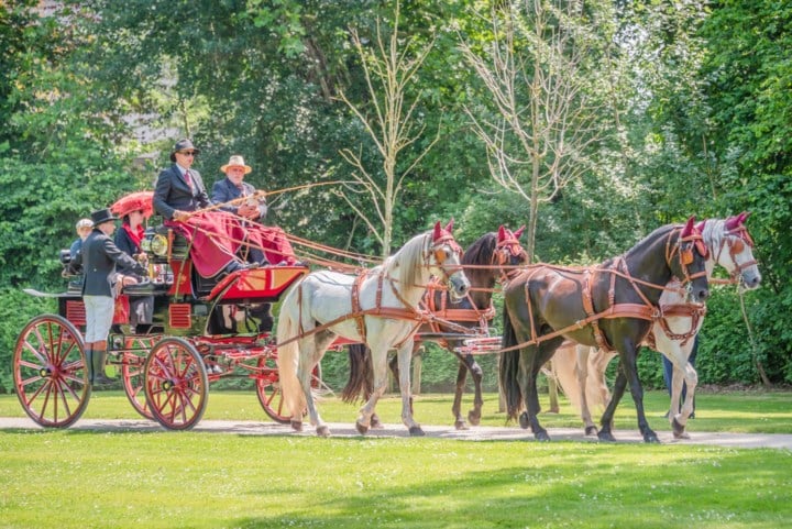 Stad schrapt Elegantietocht door voorspelde hitte: “Geen risico’s nemen voor paarden”