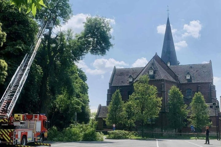 Boom van pastoriepark veroorzaakt opnieuw gevaar: “Erfenis vorige legislatuur”