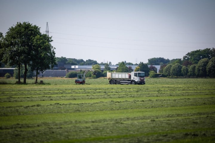 Pukkelpopweide gemaaid voor opbouw festivalterrein: “In de tweede week van juli gaan we echt van start”