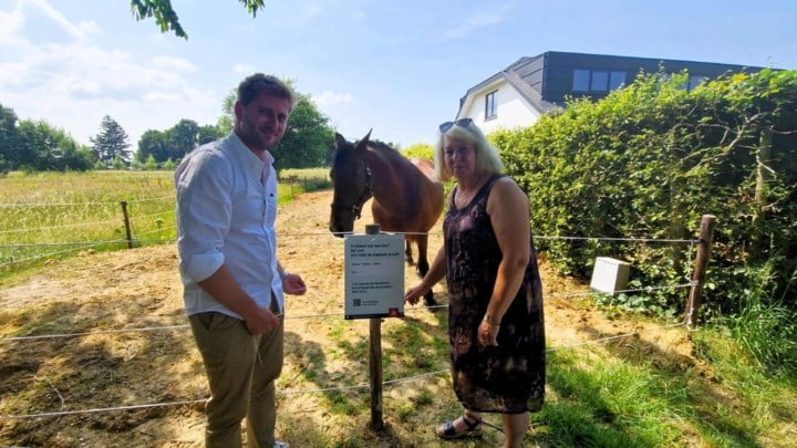 Hangt er een schaap in de prikkeldraad? Bel direct met eigenaar dankzij project ‘weidedieren in nood’ van stad Antwerpen